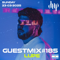 DHP GUESTMIX #185 - LUPE (Liveset)