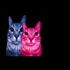 NOT ALLOWED REMIX - PROD.COCADA