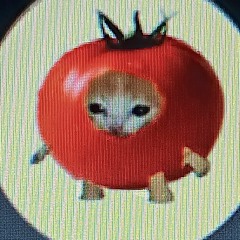 ashley look at me! way tomato ☆