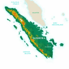 Coffee Talk: Aged Sumatra