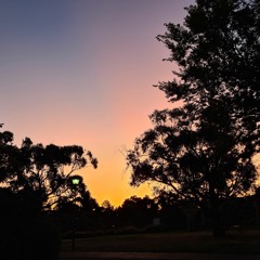 Cô Đơn - Giọng Nữ (St Nguyễn Ánh 9)