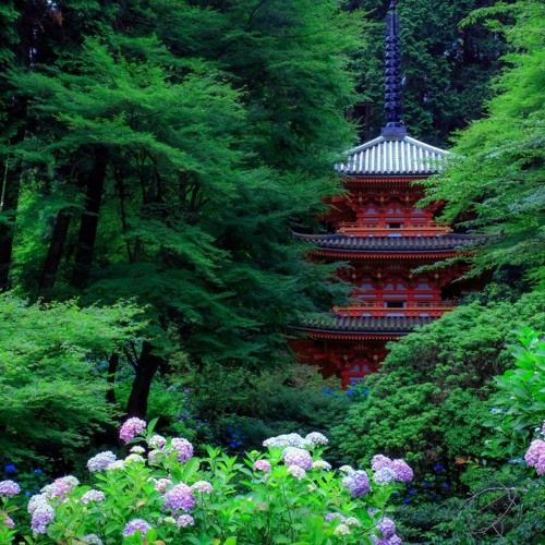 Harugakita (Spring has Come)