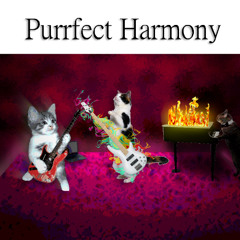 Purrfect Harmony
