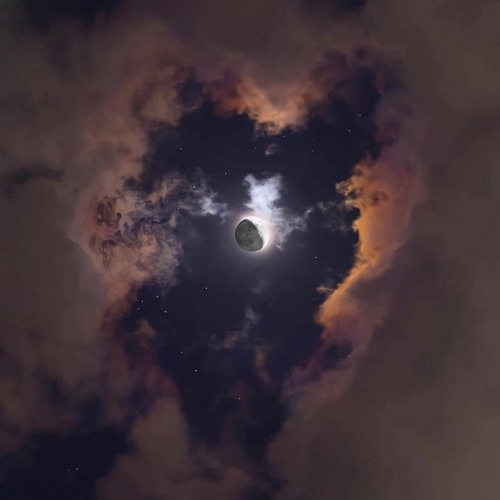 *THE DREAM IS ALIVE*