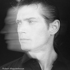 [Access] PDF 📜 Robert Mapplethorpe: The Photographs by  Paul Martineau,Britt Salvese