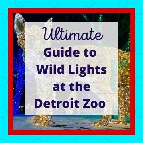 Stream 7 Best List Of Detroit Zoo Lights Tickets 2024 Ideas Tour by