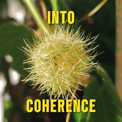 Into Coherence
