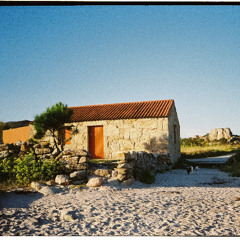 Energía Mutable - 28/11/2025