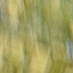 tarado prod. sammyboy! & jamesstfu