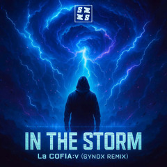 In The Storm (Remix)