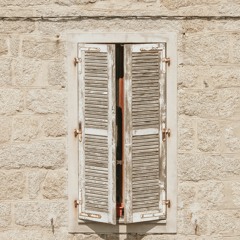 Feel my backyard(Cymatics Orchid Beat Contest)