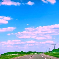 Strange Birds (disquiet0486)