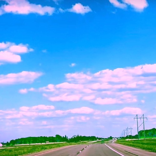 Strange Birds (disquiet0486)