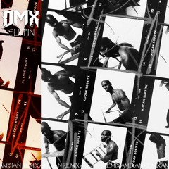 DMX - Slippin' (AMDIAN REMIX)