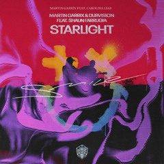 Martin Garrix & DubVision - Smiling Starlight (feat. Carolina Liar) [MASHUP]