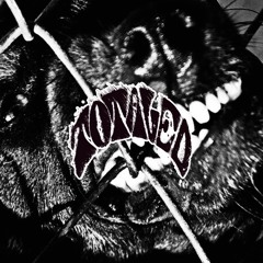 Stay Fly Freestyle - Kujo (TOTALED EXCLUSIVE)