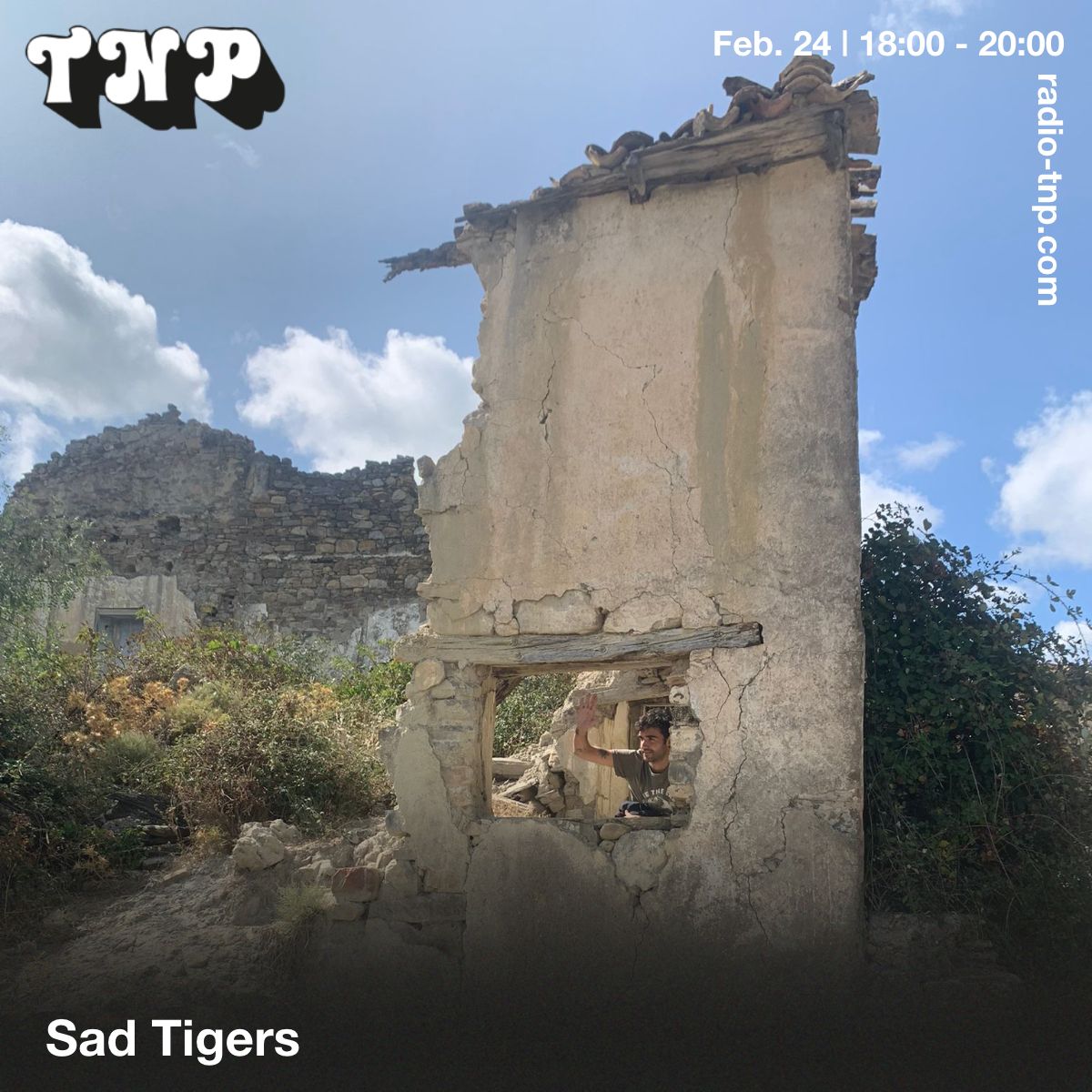 Sad Tigers
