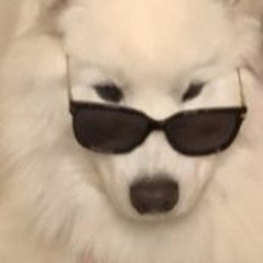 Summer Jam (❁´◡`❁)🎹💏