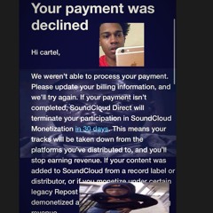 MY CARD DECLINED FOR ARTIST PRO