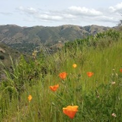 Mastering Uncertainty Guided Meditation