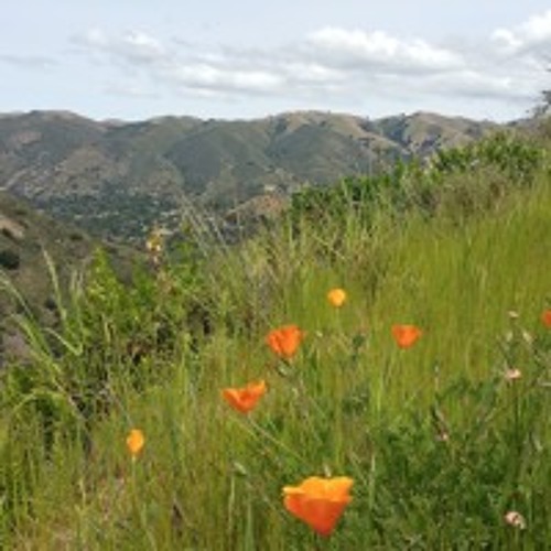 Mastering Uncertainty Guided Meditation