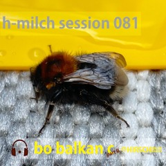 baq - h-milch session 081