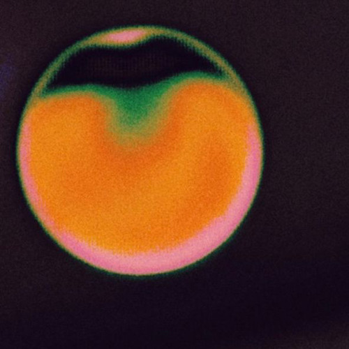 Baby, do whatever you want