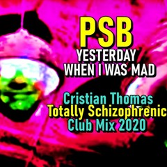 PET SHOP BOYS - YESTERDAY WHEN I WAS MAD (CRISTIAN THOMAS TOTALLY SCHIZOPHRENIC CLUB MIX 2020)