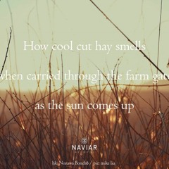 As The Sun Comes Up (naviarhaiku402)