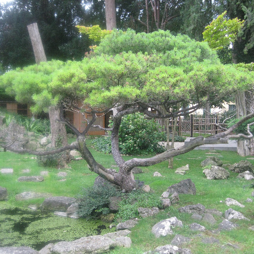 Test 4 Camel & Synth