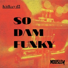So Dam Funky  (ft. Mousley)