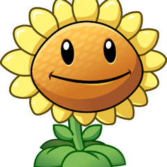 PVZ