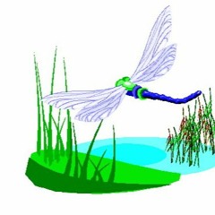 How Ifeel Now After It Occured