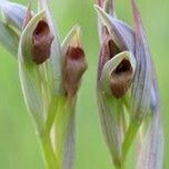 11.25🌐SETS CONTEMPORARY TECHNO. DEEP FREQUENCIES