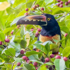 Sandy Souls In Between Waves (mixed)