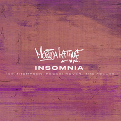 ICE THOMPSON, Pegasi Rover, The Fellas(US) - Insomnia - 30th Anniversary Edit