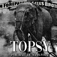 PSV #8 : Topsy, l'invitation au supplice.