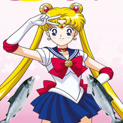 Sailor Moon (Mr. TKL Edit)