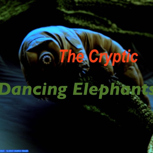 Dancing Elephants