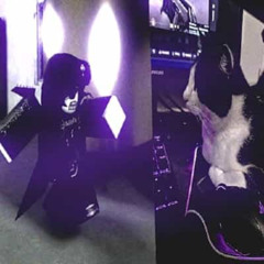 meowmeow.wav