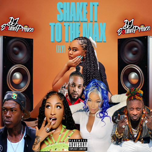 Shake It To The Max Mix || (Stefflon Don, Skilibeng, Shensea, Iwaata, Moliy) @DJSoundPrince