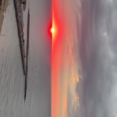 Living proof cover.m4a