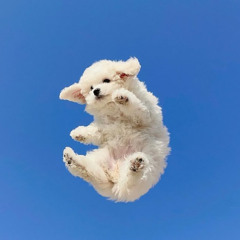 F*CK YOU :D (xxxtentacion Fuck Love - chags remix)