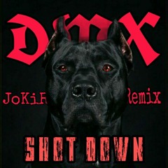 DMX - SHOT DOWN (JoKiR Remix)