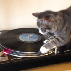 Enkei Dubz - I Love Cats