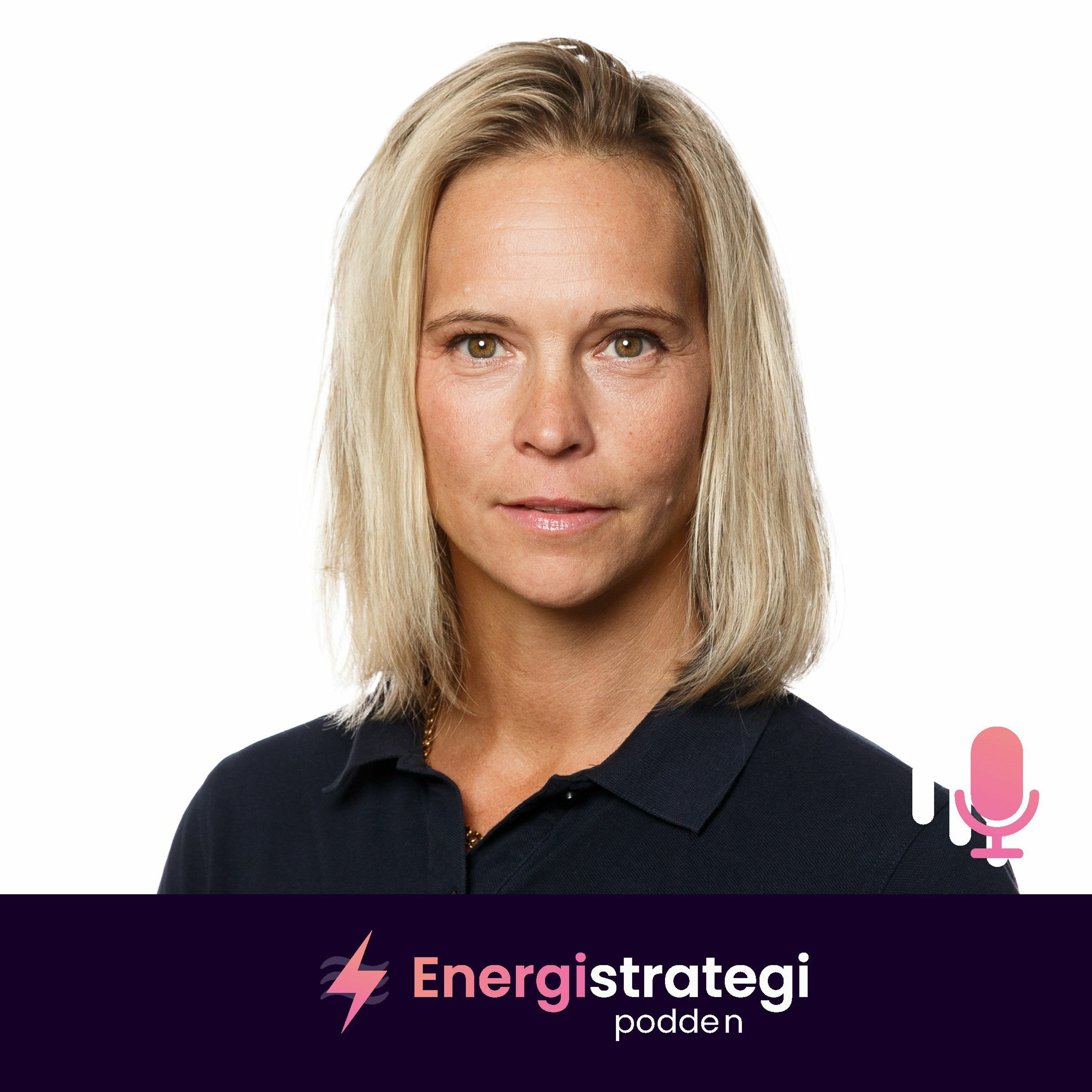 Energistrategipodden