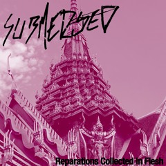 Submerged - Disregarded Entity