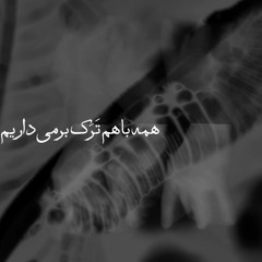 05 - همه با هم تَرَک برمی‌داریم - we all cracking together