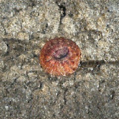 Don't trust your senses