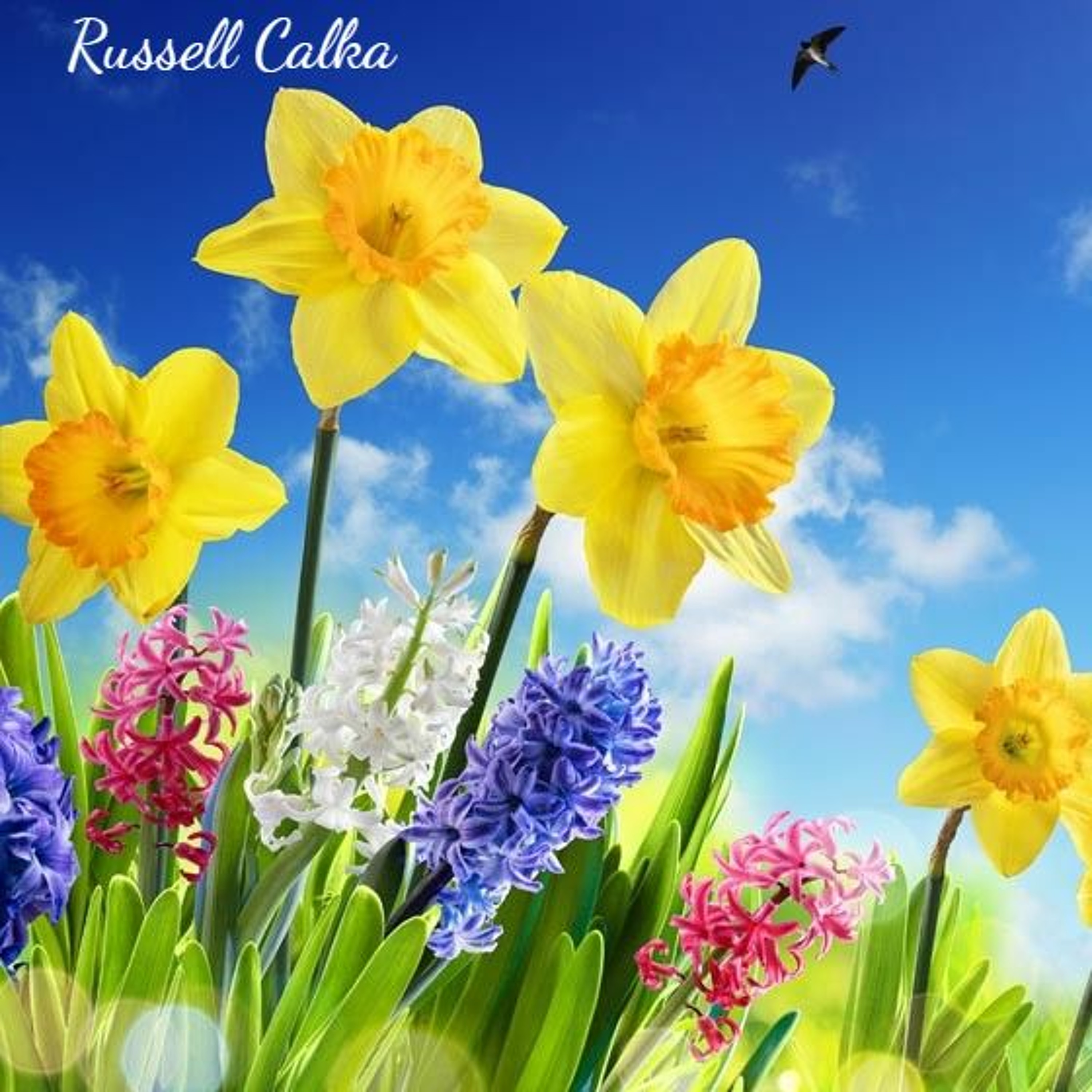 Canopy Sounds 137 - Russell Calka